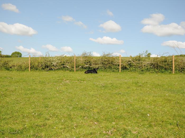 Mill House, in Lostwithiel near Pelynt, Cornwall, off-road parking, pet-friendly, on a working farm.