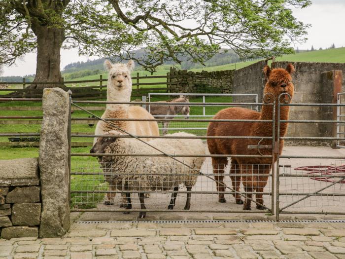 Bay Horse Farm, Skipton, North Yorkshire. Five bedrooms. Semi-detached farmhouse & walking location.