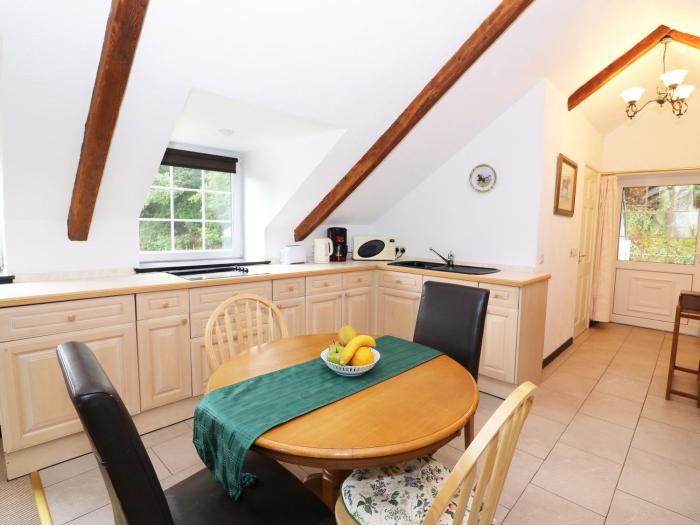 Loft apartment, Llandysul, Sir Gaerfyrddin, Wales. TV. WIFI. Garden. Off-road parking. Close to pub.