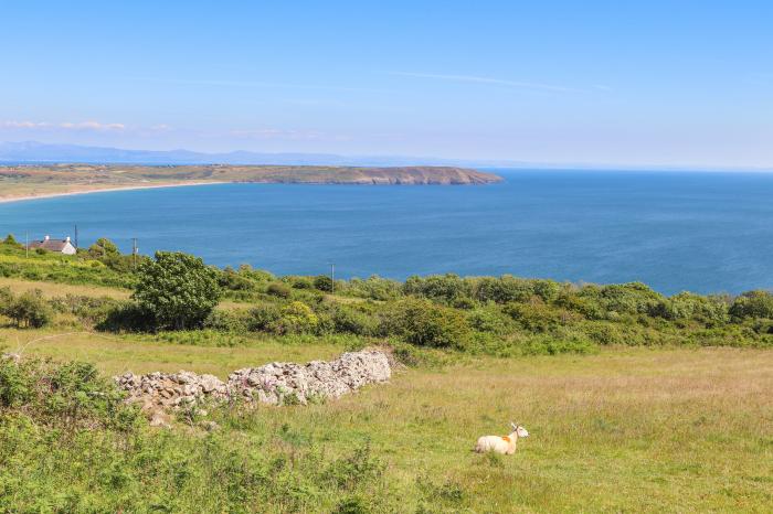 Tan Y Fynwent in Abersoch, Gwynedd, dog-friendly, enclosed garden, close to beach, garden furniture.