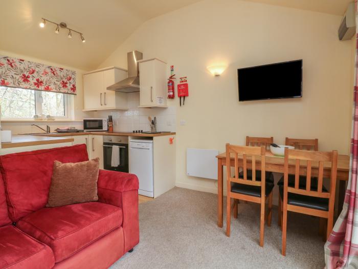 Chalet Log Cabin C8, Combe Martin. National Park, family-friendly, pet-free, open-plan, AONB, WiFi.