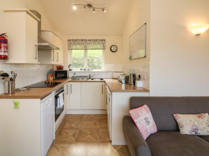 Chalet Log Cabin L15, Combe Martin, dog-friendly, close to beach, open-plan living space and decking