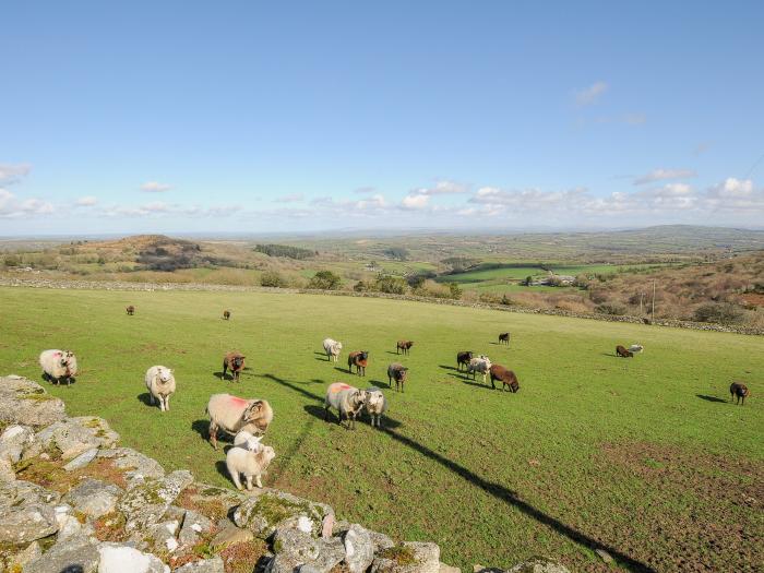 Fizz-Gog Cottage, Upton Cross, pet-friendly, farm location, rural setting, open-plan space, en-suite