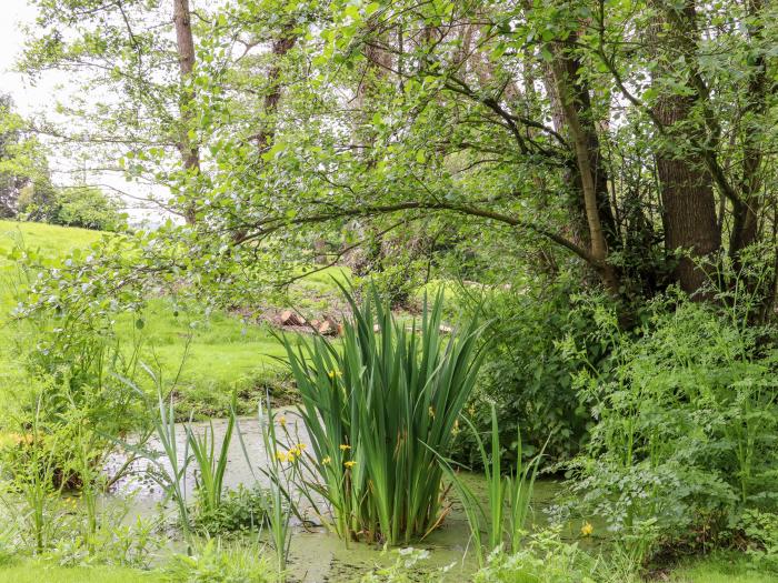 The Snug at Pickleden is near Chilham, in Kent. Studio-style abode, ideal for couples, with hot tub.