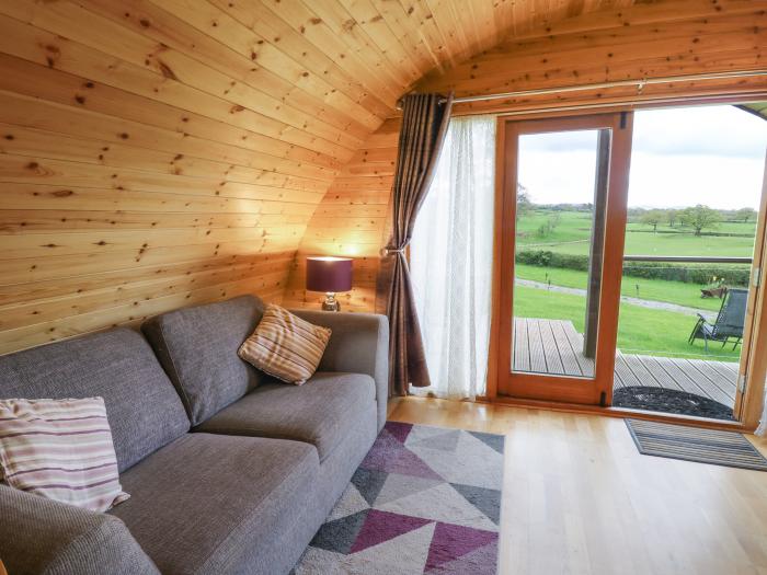 Pine Lodge, Llanddessant near Llandovery, Mid Wales, dog-free, hot tub, romantic, couples, 1bedroom.