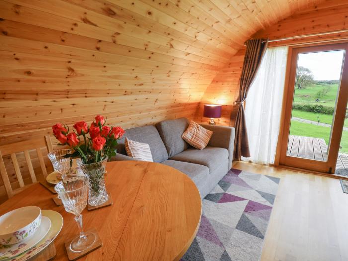 Pine Lodge, Llanddessant near Llandovery, Mid Wales, dog-free, hot tub, romantic, couples, 1bedroom.