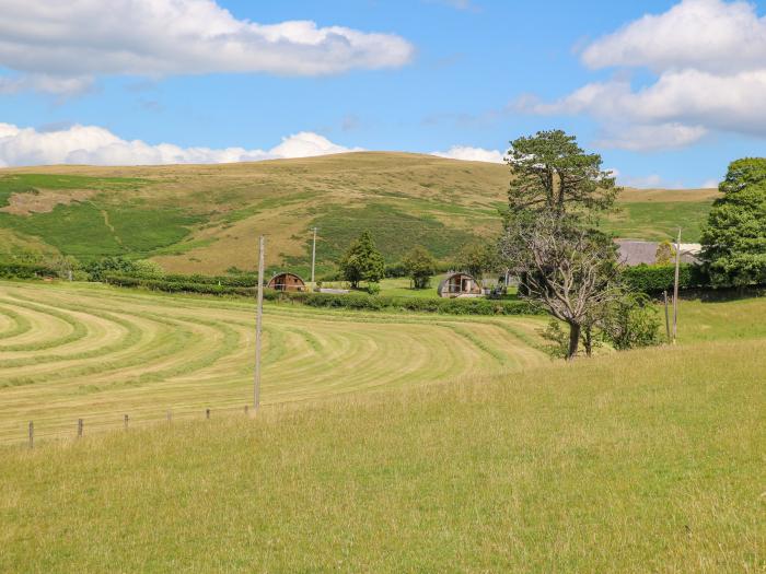 Pine Lodge, Llanddessant near Llandovery, Mid Wales, dog-free, hot tub, romantic, couples, 1bedroom.