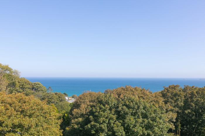 Bay View, Carbis Bay, Cornwall. First-floor apartment. Pet-friendly. Beach nearby. 2 bedrooms. WiFi.