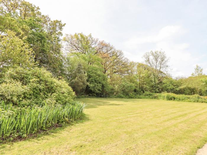 Bunts Barn, Northlew, Hatherleigh, Devon, off-road parking, woodburning stove, pet-free, woodburner.