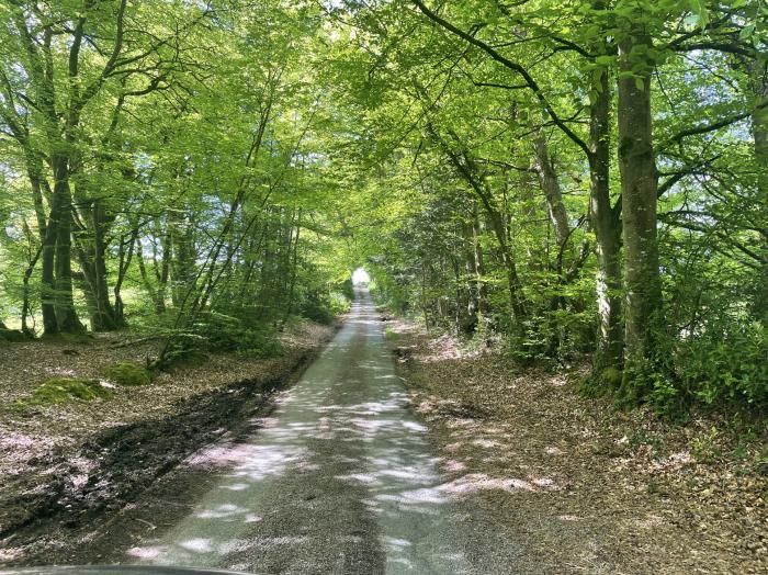 Bunts Barn, Northlew, Hatherleigh, Devon, off-road parking, woodburning stove, pet-free, woodburner.