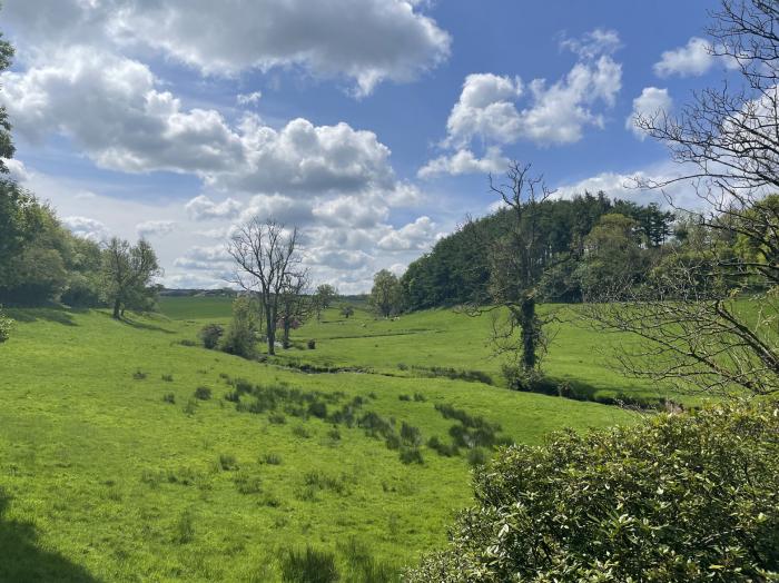 Bunts Barn, Northlew, Hatherleigh, Devon, off-road parking, woodburning stove, pet-free, woodburner.