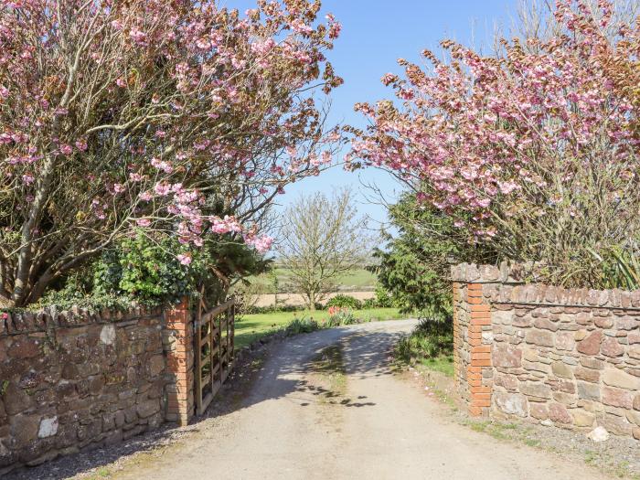 Wheatfield Lodge, Fethard-on-Sea, County Wexford, romantic studio retreat close to beach, parking