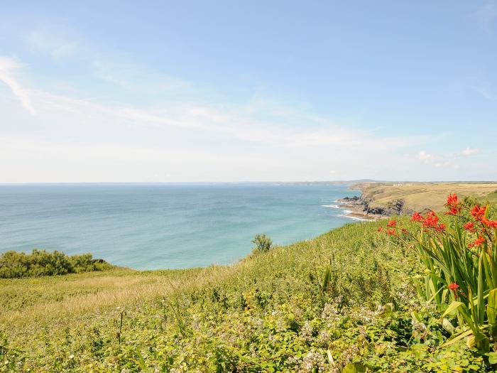 Barn Cottage, Mullion, Cornwall. Three bedrooms. Pet-friendly. Lawned garden. 2 x communal paddocks.