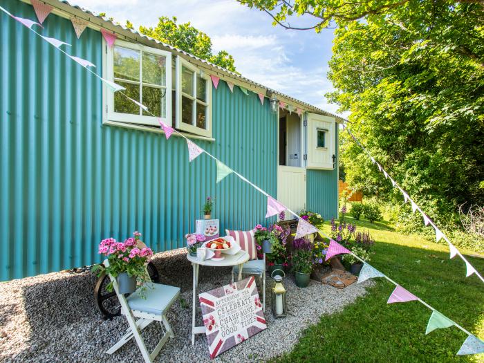 Gwithian Shepherds Hut nr Hayle, Cornwall. On-site fishing lake, off-road parking, woodburning stove