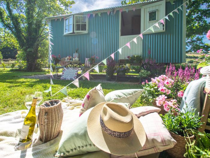 Gwithian Shepherds Hut nr Hayle, Cornwall. On-site fishing lake, off-road parking, woodburning stove