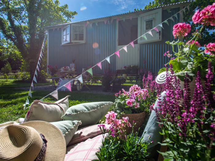 Gwithian Shepherds Hut nr Hayle, Cornwall. On-site fishing lake, off-road parking, woodburning stove