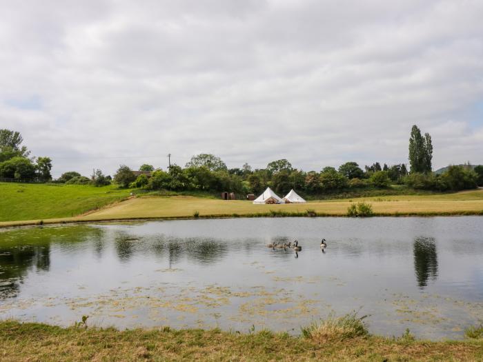 Tumbling Tom near Great Witley, woodburner, bell tent, off-road parking, pet-friendly, barbecue area