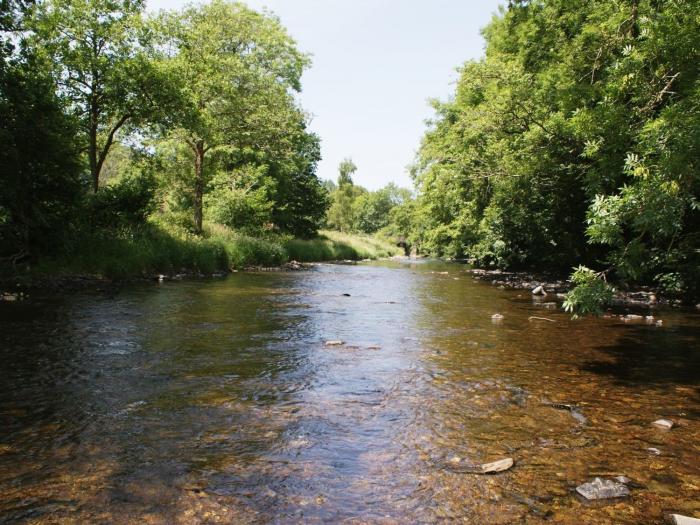 Valley Lodge, Bampton, Devon, National Park, Single-storey lodge, Open-plan living, Smart TV, Fridge