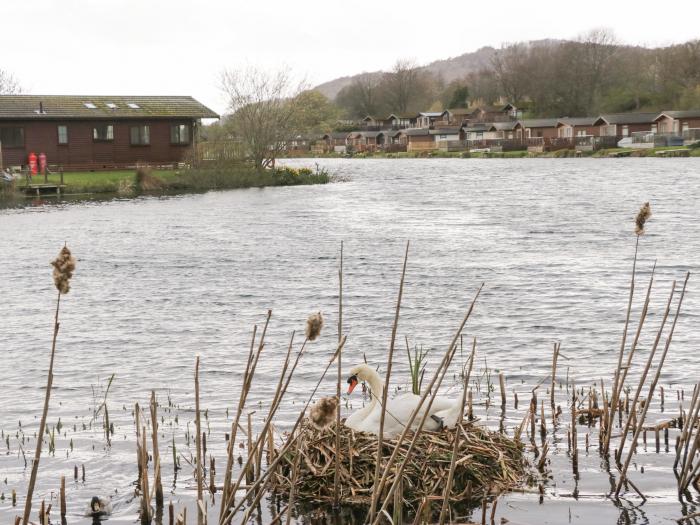 Walkers Rest, Carnforth, Lancashire, Near Lake District National Park, Near a AONB, Lake, WiFi, Dogs