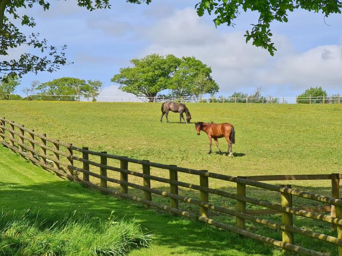 Pheasant Roost, Winkleigh