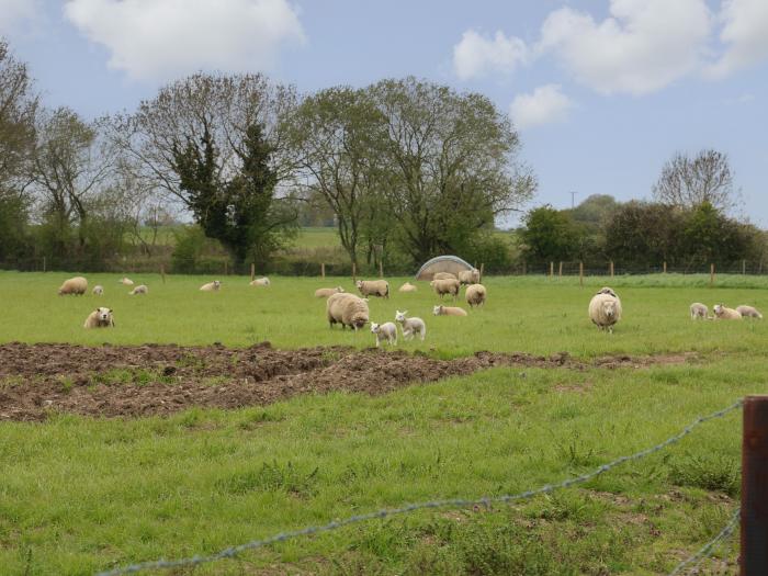 Honeybee Retreat near Upper Marham in Norfolk. Hot tub. Unique. Countryside. Romantic. Working farm.