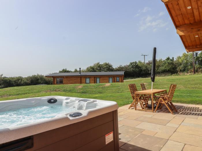 Primrose Lodge in Hittisleigh, Devon. Detached lodge. Open-plan living space with woodburning stove.