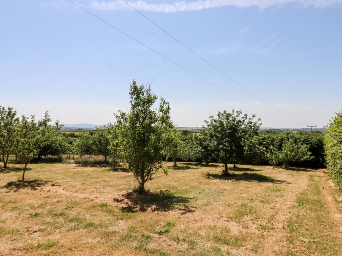 Upcott Farm in Morchard Bishop, Devon. Detached farmhouse. Country setting. Extensive garden. Pets.