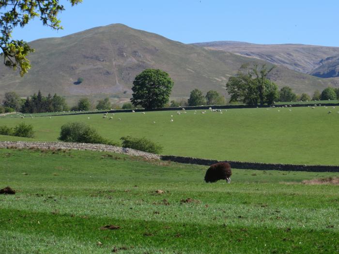 Shepherds View, Dufton