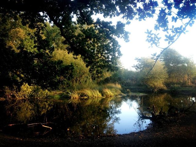 Frome Lodge House, Buckland Newton