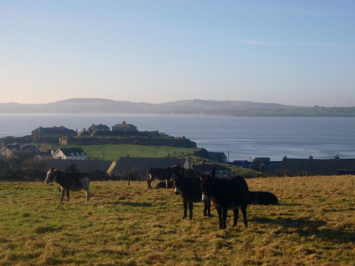 South Beach, Duncannon, County Wexford. Smart TV. Woodburning stove. Enclosed garden. Close to beach