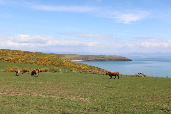 The Caravan - Cilan, near Abersoch in Gwynedd. Travel cot. Smart TV. Off-road parking. Single-storey