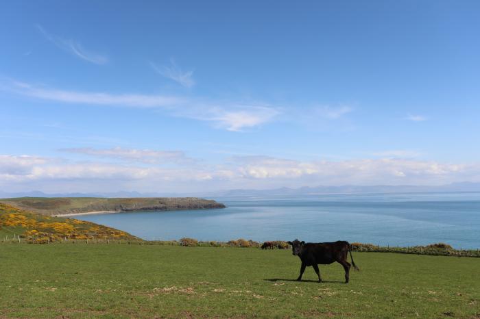 The Caravan - Cilan, near Abersoch in Gwynedd. Travel cot. Smart TV. Off-road parking. Single-storey