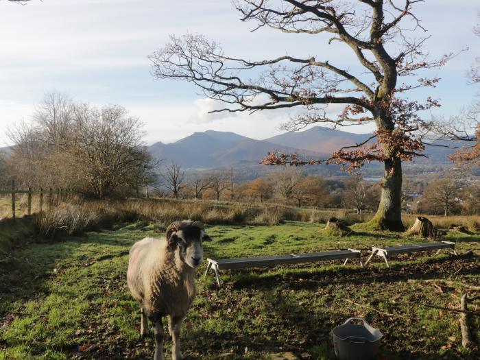 Elm Lodge, Keswick, Cumbria, The Lake District National Park. Single-storey lodge, Ground-floor, TV.