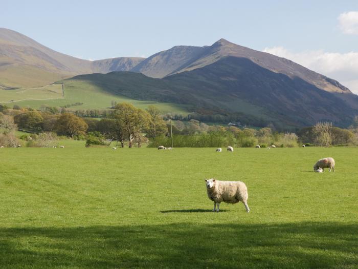 Elm Lodge, Keswick, Cumbria, The Lake District National Park. Single-storey lodge, Ground-floor, TV.