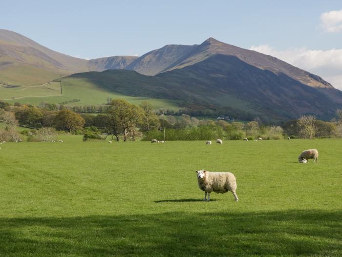 Greta House in Keswick, Cumbria. Smart TV. Contemporary. Close to amenities. Allocated parking. WiFi