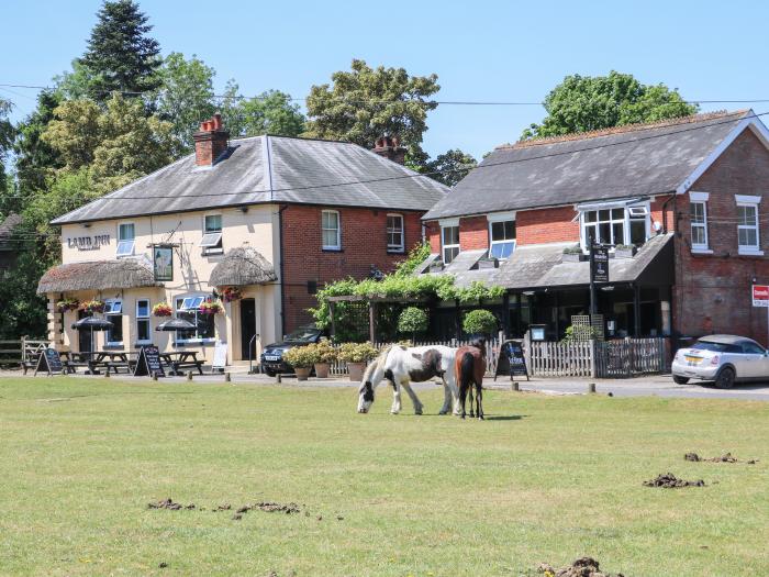 Foxes Earth, Nomansland, Wiltshire. In New Forest National Park. Two-bed holiday home. Pet-friendly.