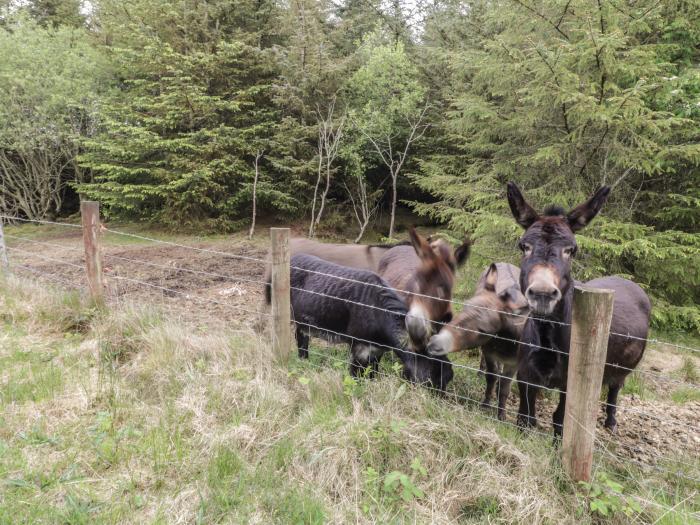 Cooladerry Cottage is in Cooladerry Mountain near Portsalon, County Donegal. Off-road parking. 3bed.