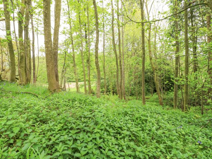 Bolton, Flakebridge near Appleby-In-Westmorland, Cumbria. Off-road parking, single-storey, open-plan