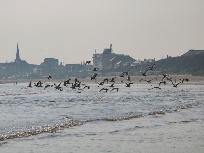 South Bay Beach House, Bridlington, East Yorkshire. Eight-bedroom home near the beach. Pet-friendly.