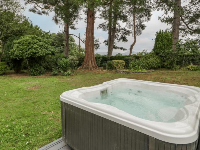 Woodlands Retreat nr Ruthin, Denbighshire. Four-bedroom holiday home with on-site facilities. Rural.