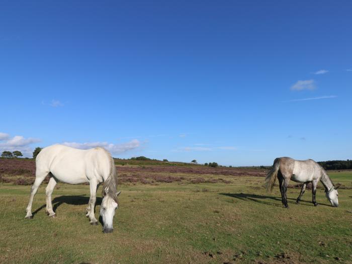 Appletree Cottage, Godshill near Fordingbridge, Hampshire. In the New Forest National Park, Smart TV