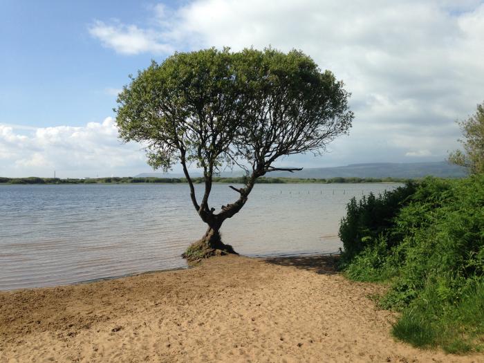 Kenfig Farm, Kenfig