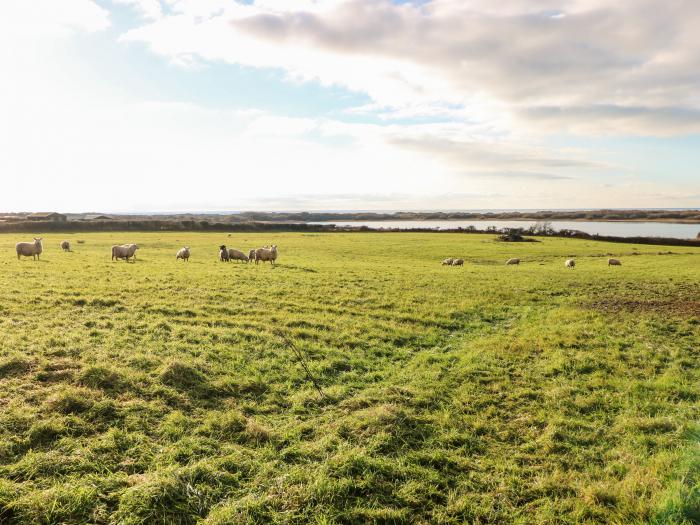 Kenfig Farm, Kenfig