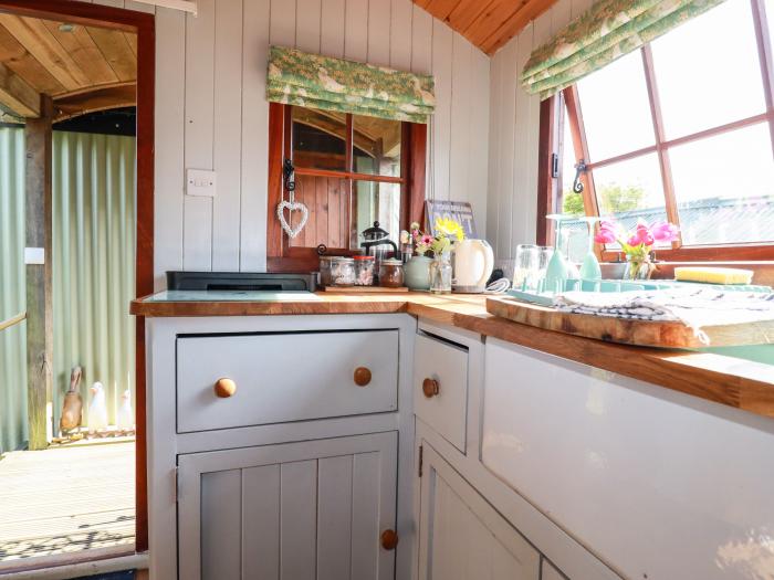 Puddle Duck Shepherds Hut, Crackington Haven