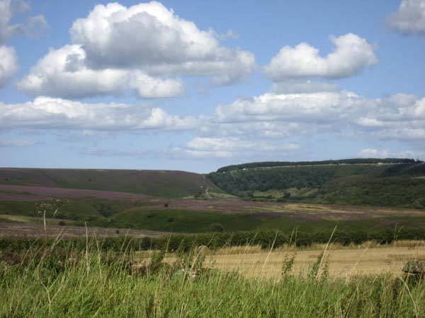 Harvest Cottage, North York Moors And Coast