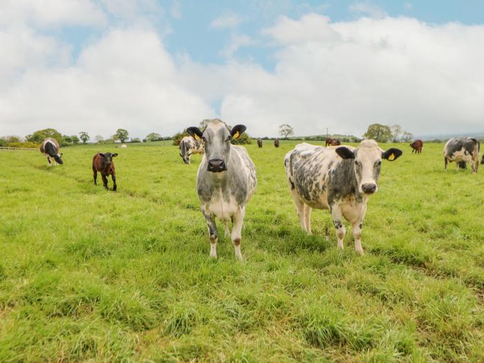 Cow Corner near Northallerton, North Yorkshire. Three-bedroom barn conversion on working farm. Rural