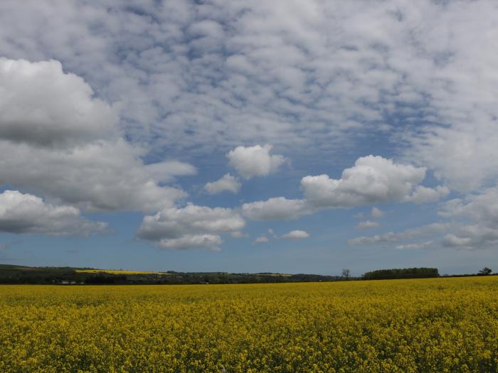 Cherry Tree Cottage, Atwick near Hornsea, East Riding of Yorkshire. Near a National Park. WiFi. Dogs