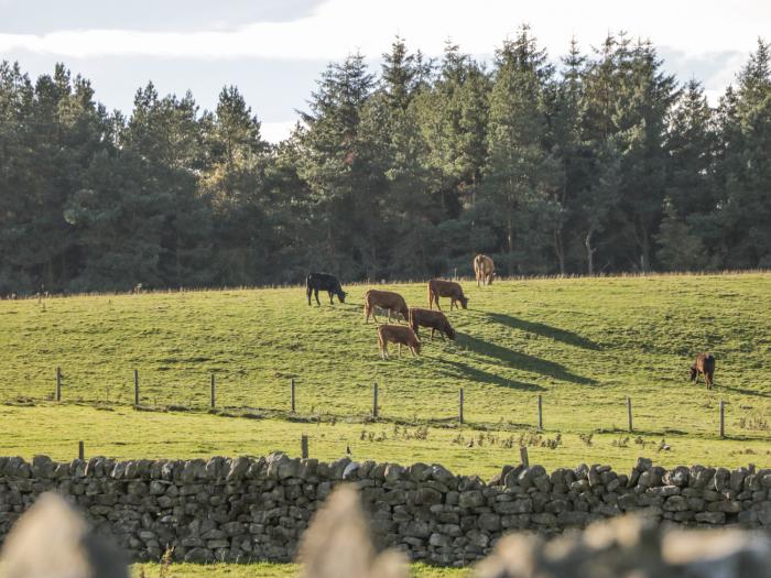 The Stables near Masham, North Yorkshire. Two-bedroom barn conversion, set rurally in National Park.