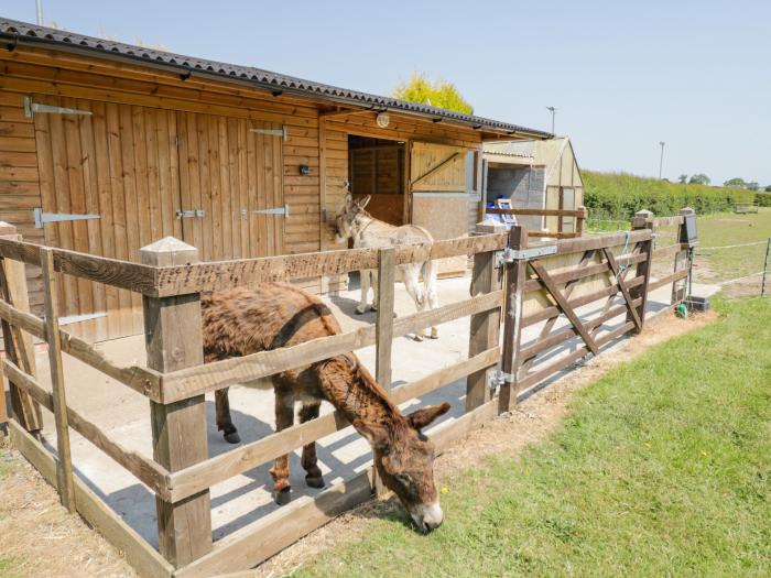 The Nest near Market Bosworth, Leicestershire. Single-storey. Pet-friendly. Parking. Enclosed patio.