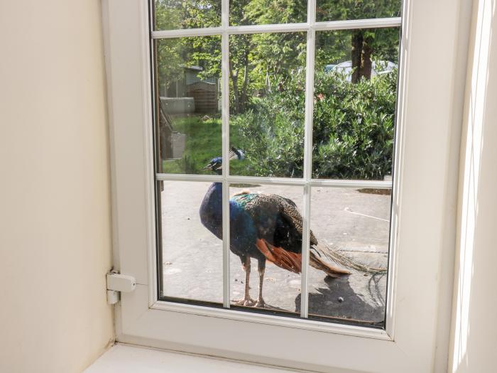 Peacock Cottage is in Talybont-on-Usk, Powys. Three-bedroom home with rural views and hot tub. Pets.